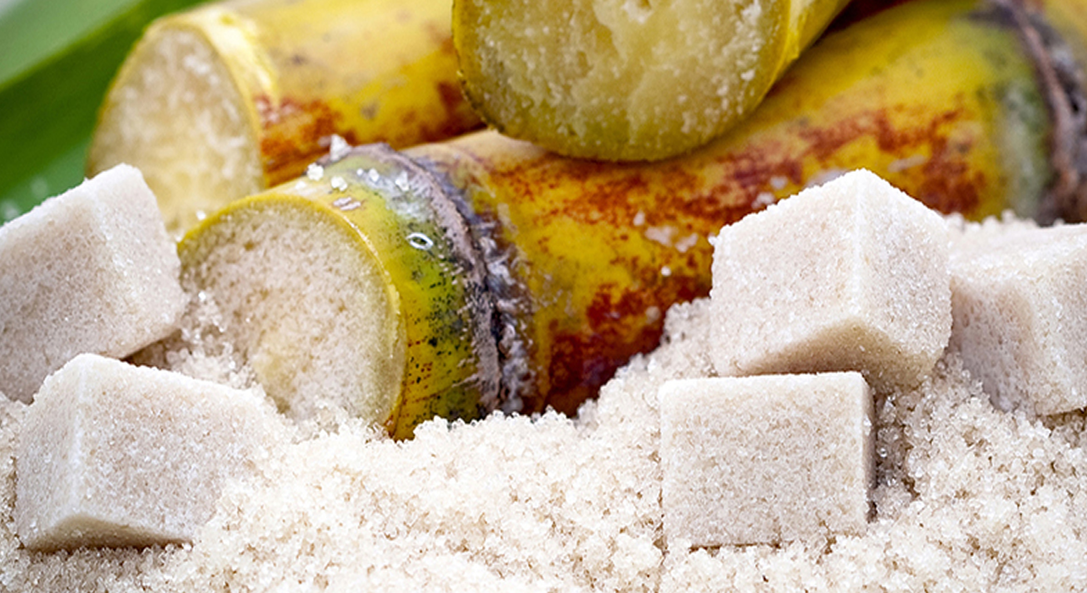 Flourishing trading Brazil SUGAR IC45